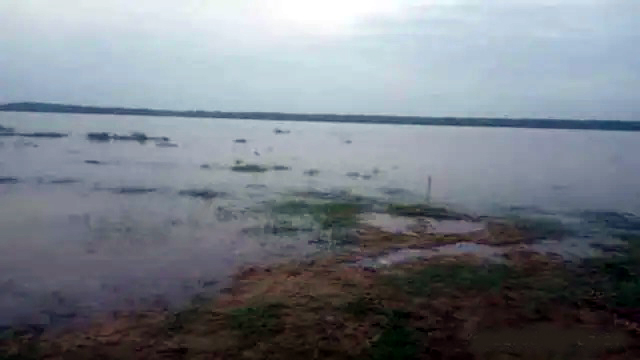 कोटा बैराज से पानी छोड़े जाने से भोगनीपुर व सिकंदरा में उफनाई यमुना, 30 गांवों पर खतरा मंडराया