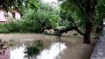 यूपी में तेज आंधी-बारिश से नौ की मौत: खम्भे उखड़े, घरों के टीन शेड और छतें उड़ीं